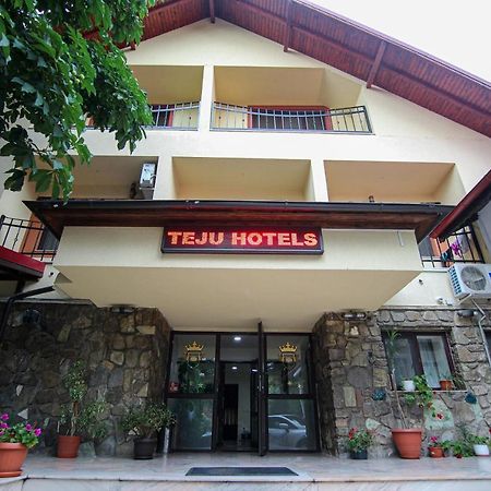 Teju Hotels Slănic Eksteriør bilde