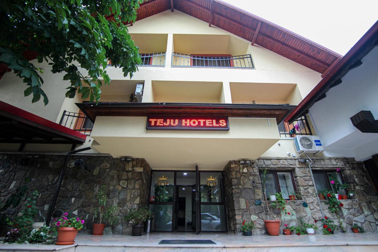 Teju Hotels Slănic Eksteriør bilde